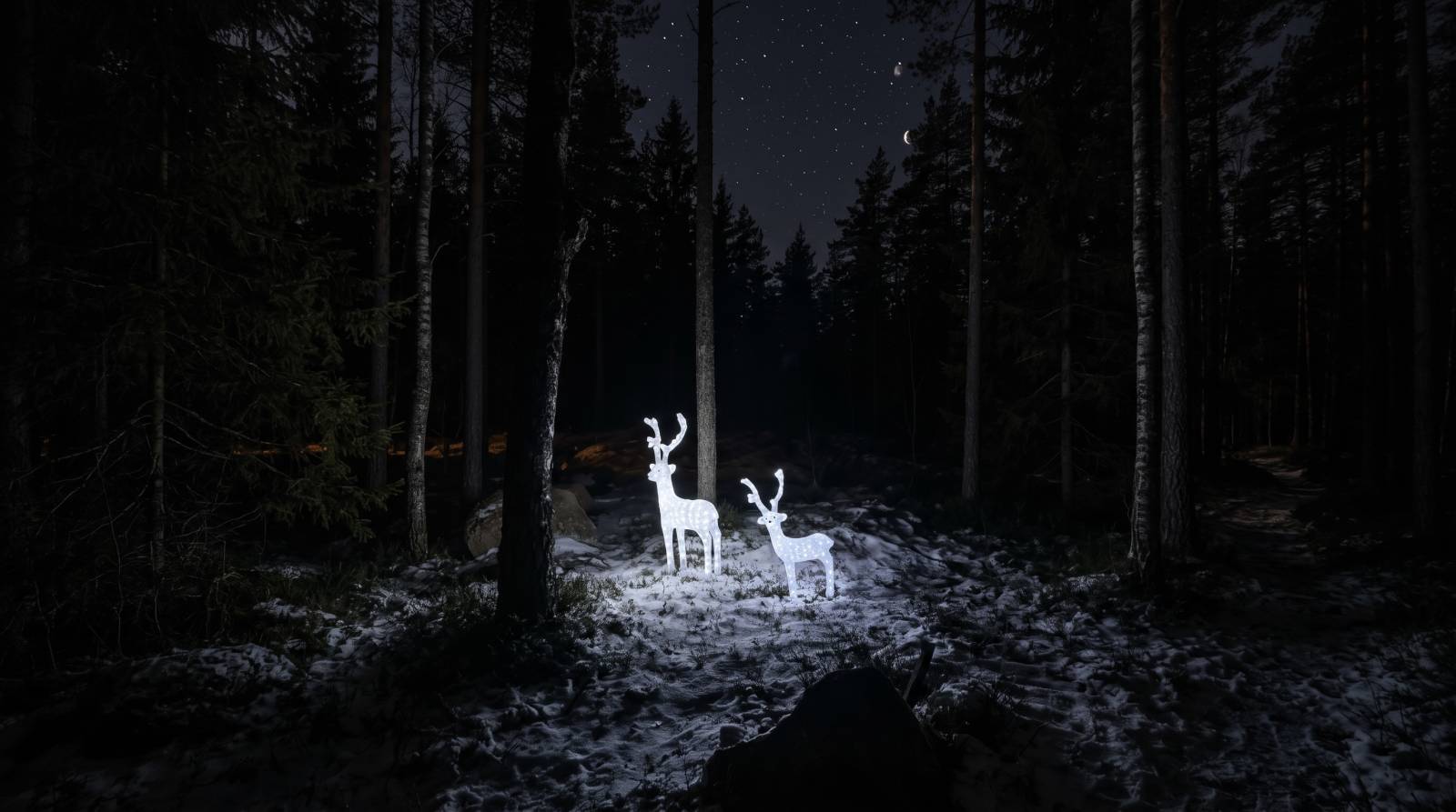 Illuminated reindeer decorations in a snowy forest at night.