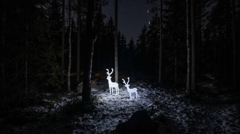 Illuminated reindeer decorations in a snowy forest at night.