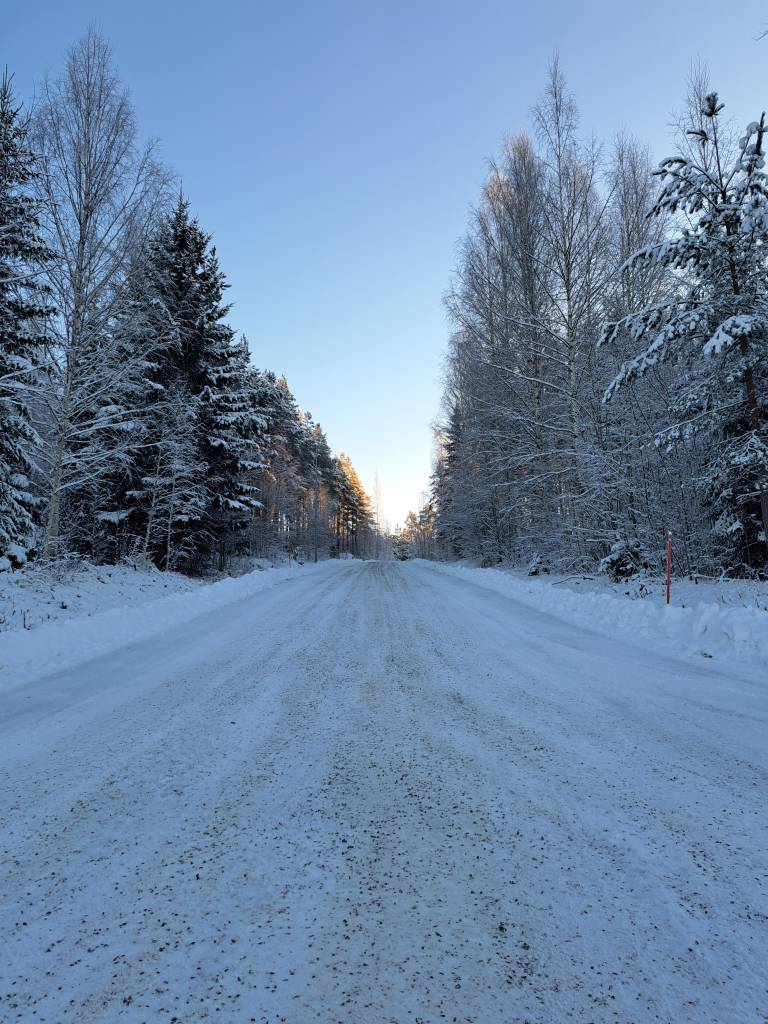 Luminen mäki, jonka molemmin puolin kohoaa sekametsä.