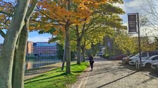 Lincoln University Campus, street