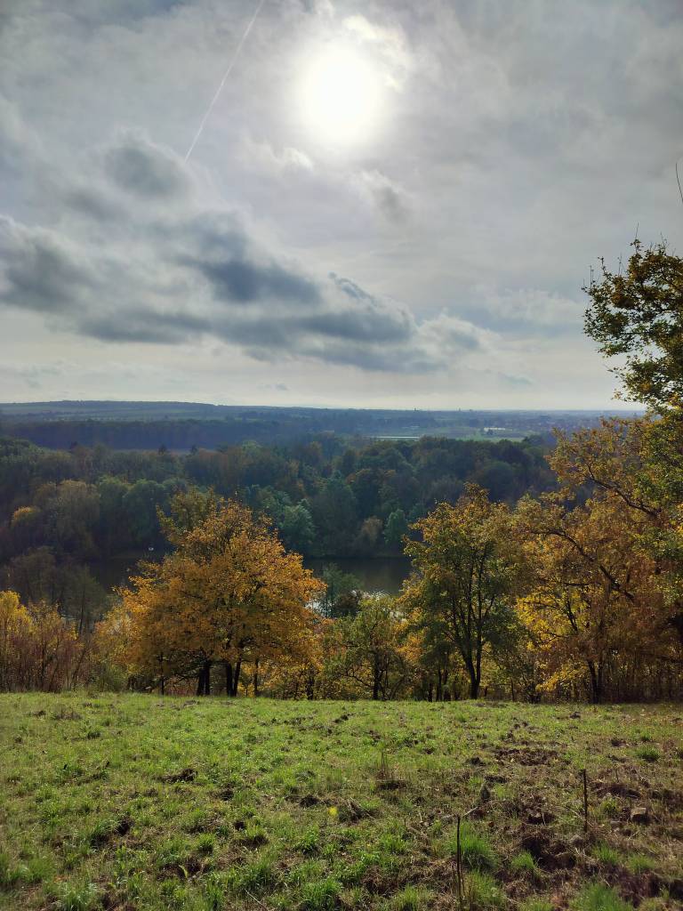 View from a hill in Schweinfurt