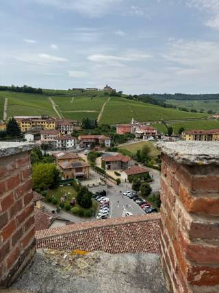 Barolo