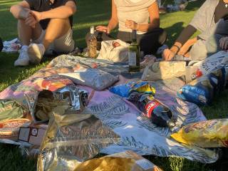 picnic with friends

