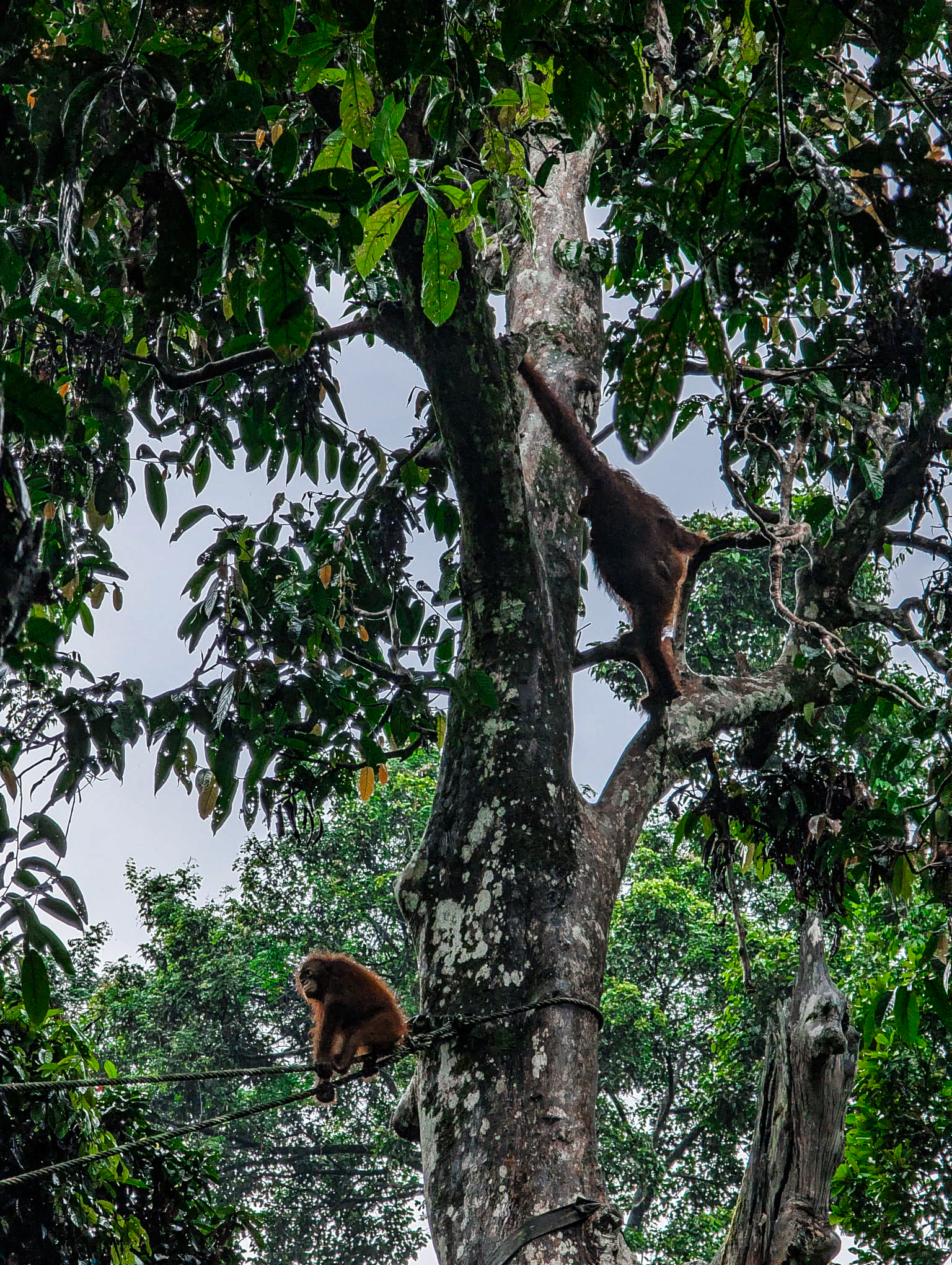 (Photo: Mikaela Salminen)