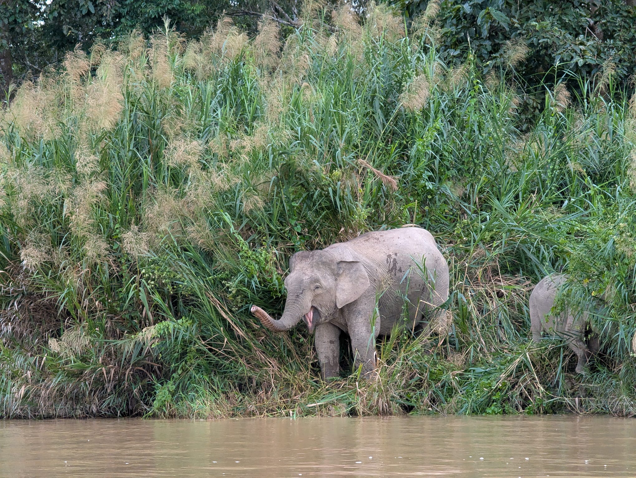 (Photo: Constantin Rapp)