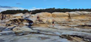 Royal national park