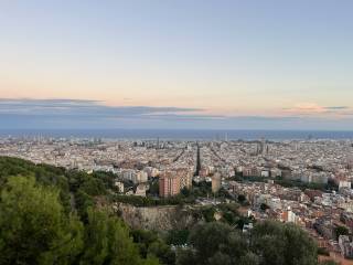Barcelona from above