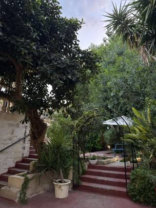 campus garden