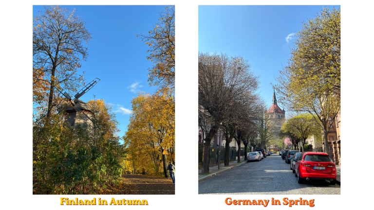 Finland - Germany 2 countries - 2 different worlds