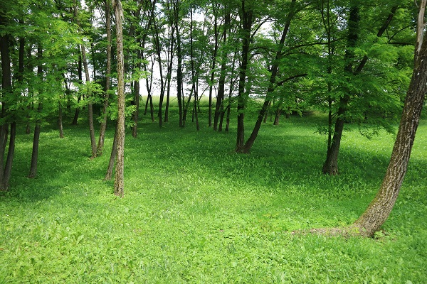 Kala pod Tančo goro. 