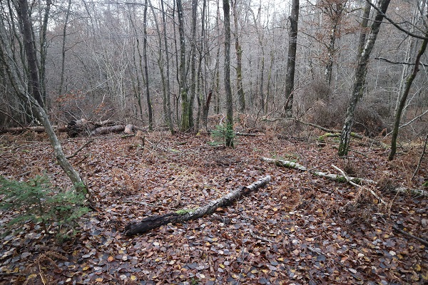 Stubica