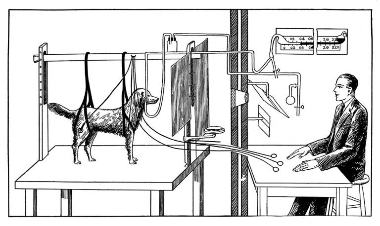 Diagram illustrating Pavlov's experiments with a dog
