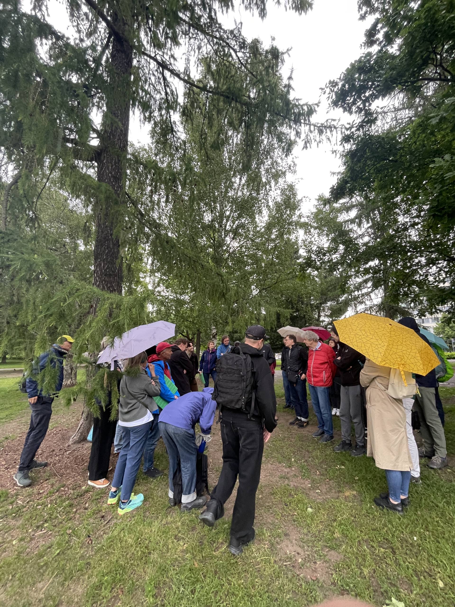 People gathered to explore something