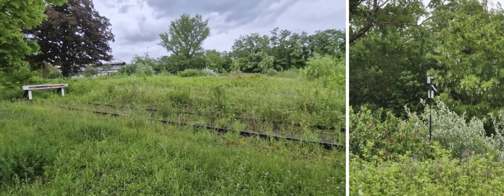 Two photos: A disused brownfield with dense and diverse species at the Rhône–Rhine harbour. Right: The installed station