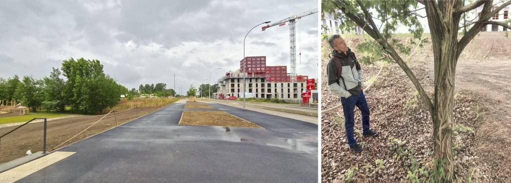 Two photos: Left: A new urban park as a wildlife corridor, with unmown grasses and limited tall trees, alongside new and half-built tall buildings near the Rhône–Rhine Canal. Right: Observing bird nests in tall trees with F. Chiron