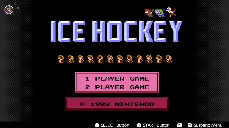 Ice hockey cover