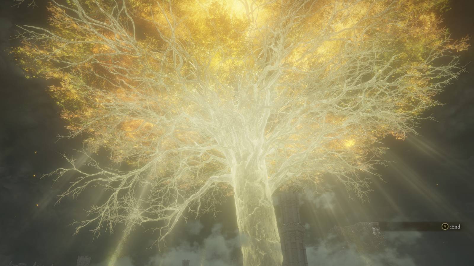 shining its light on the world.