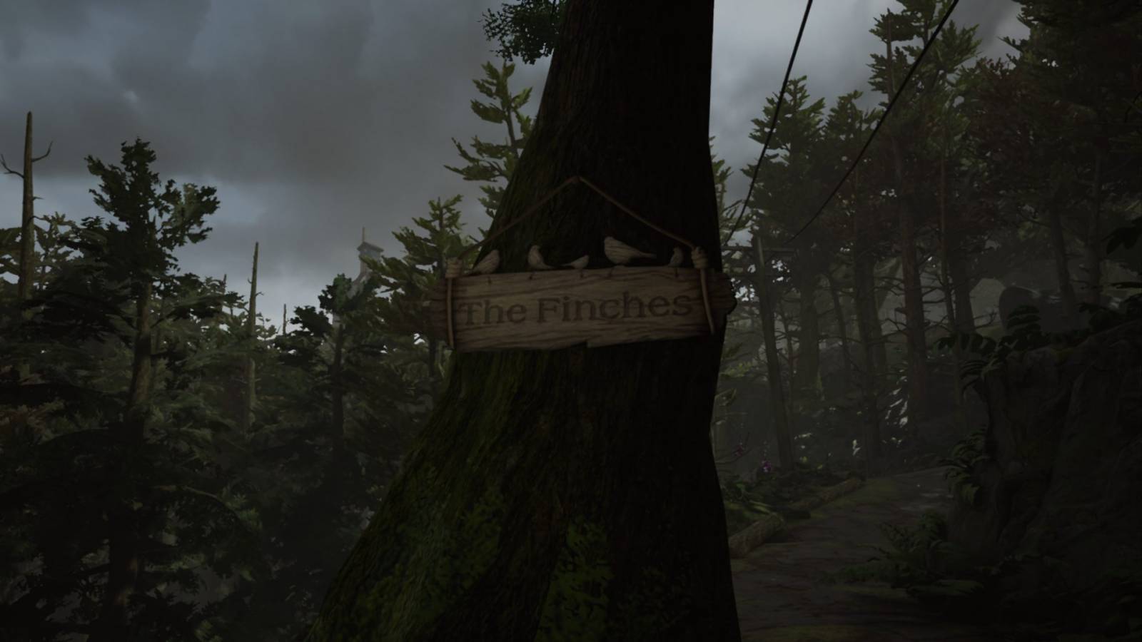adorned by ornamental birds has been se to hang from the side of a tree. It reads: "Finches".