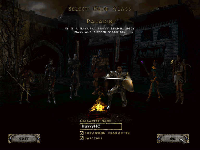 Select Hero Class: A hardcore Paladin is chosen and named HarryHC.