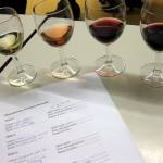 We had our first wine tasting class yesterday and, believe or not, I love it!;D