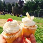 Cupcakes in Piccadilly Gardens