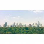 Lumphini Park and Bangkok skyline
