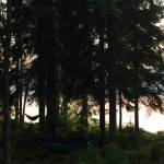 Hammocks by the lake at Midsummer