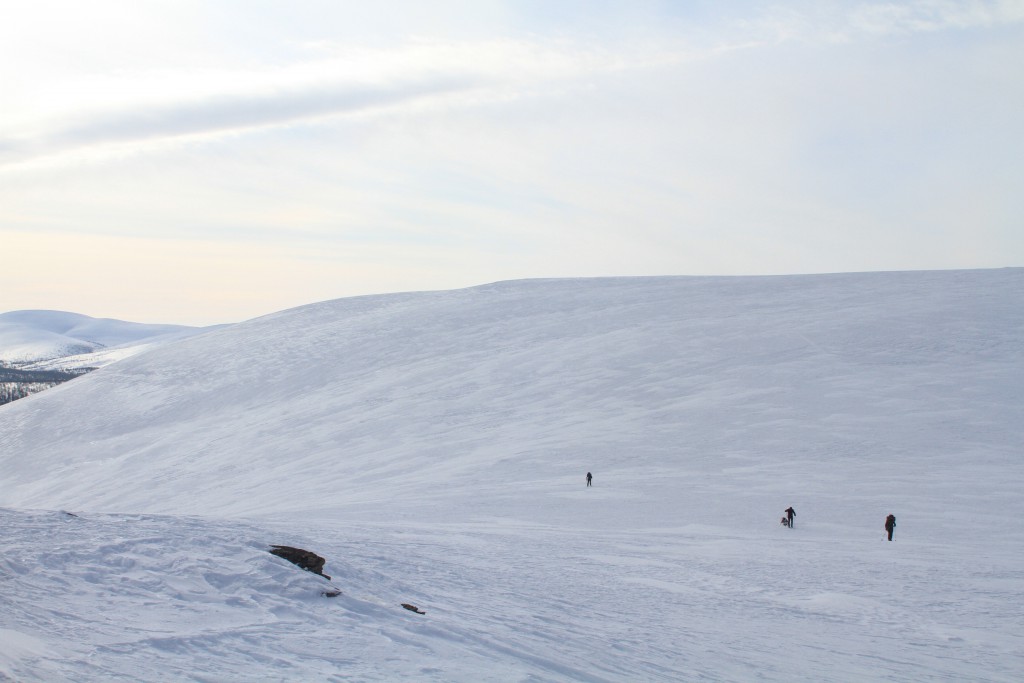 Skiing trekking in Urho Kekkonen's national park