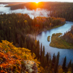 Finland_-_Nature-374x247