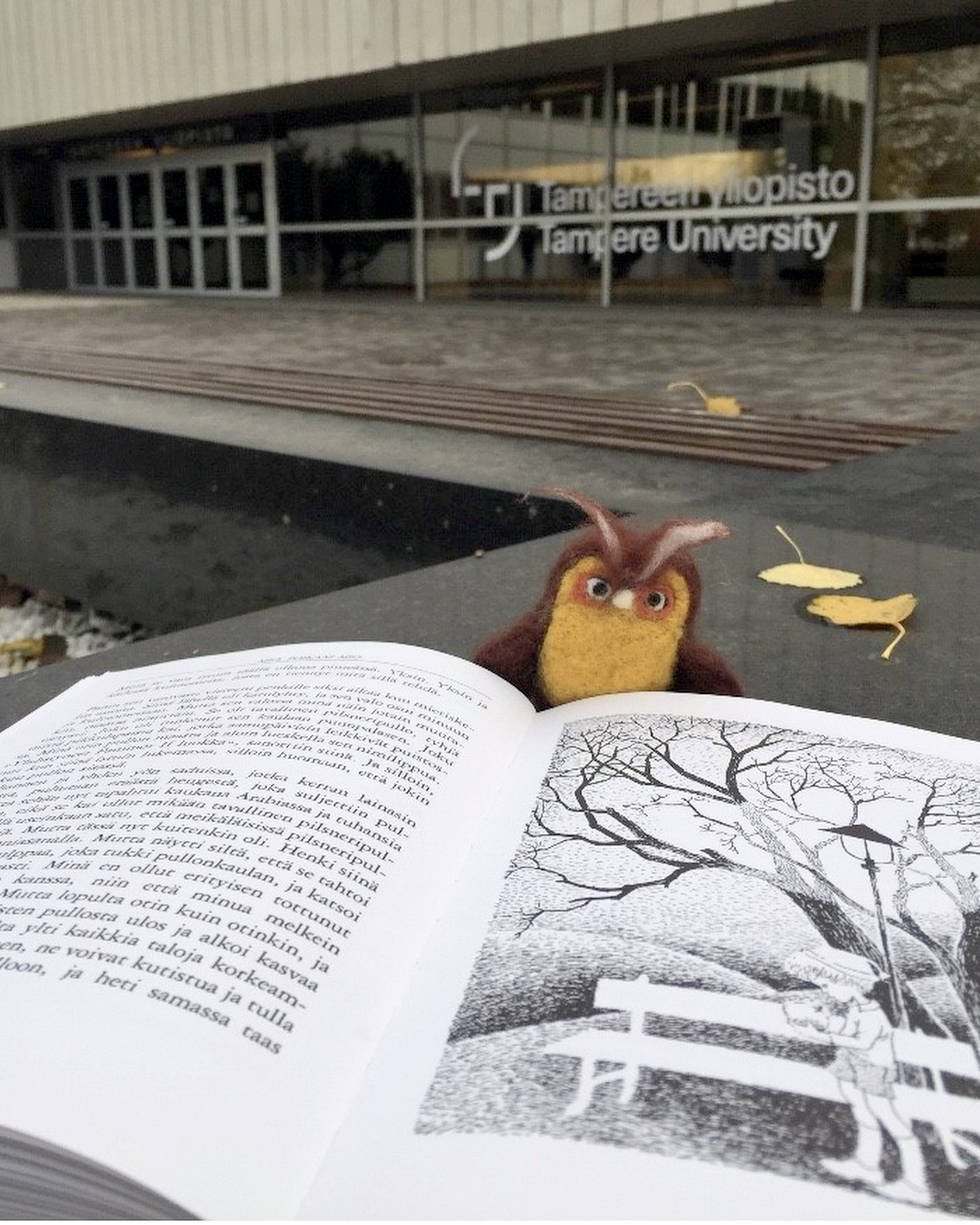 A toy owl reading an open book in front of the university.