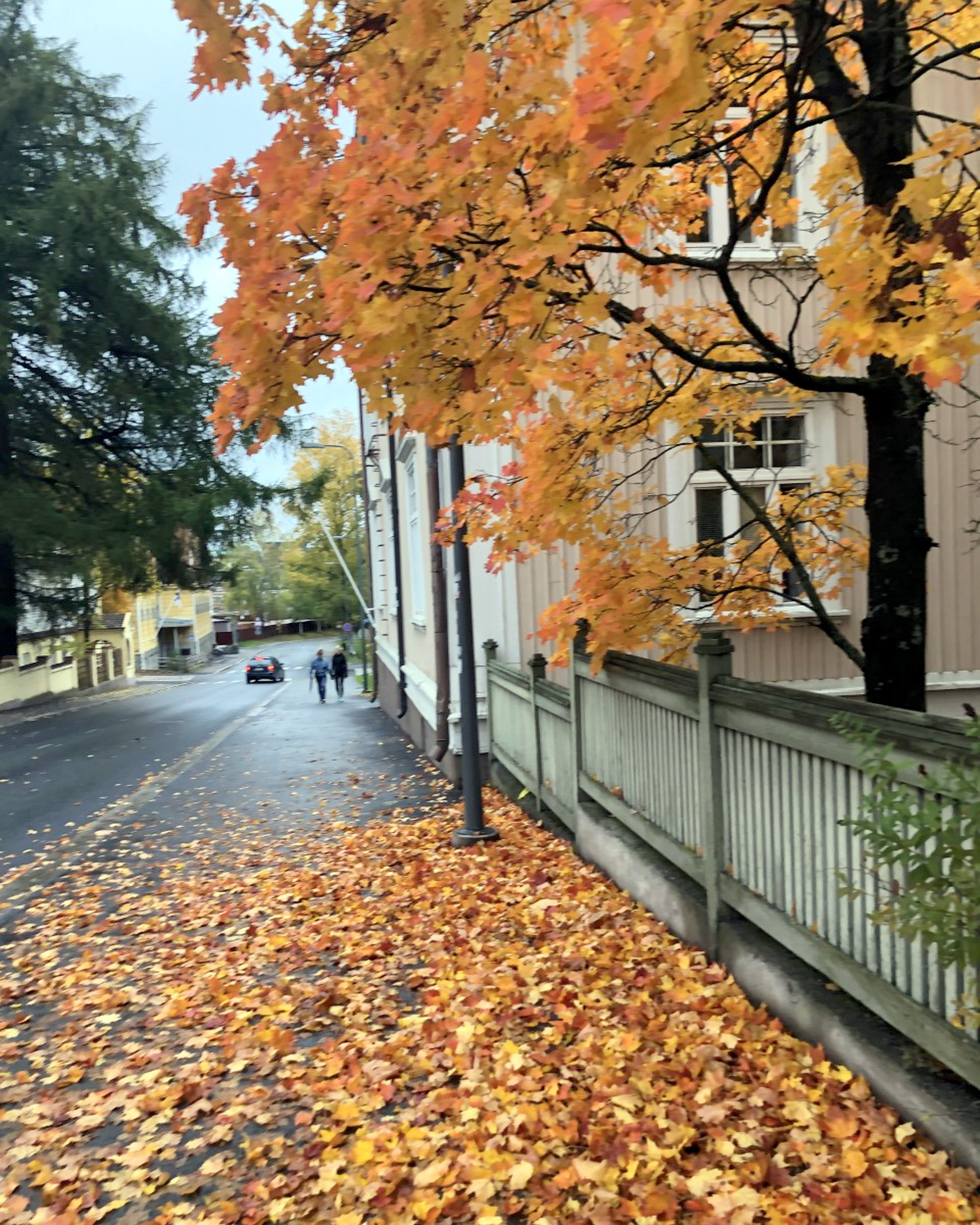 A city street full of orange leaves.