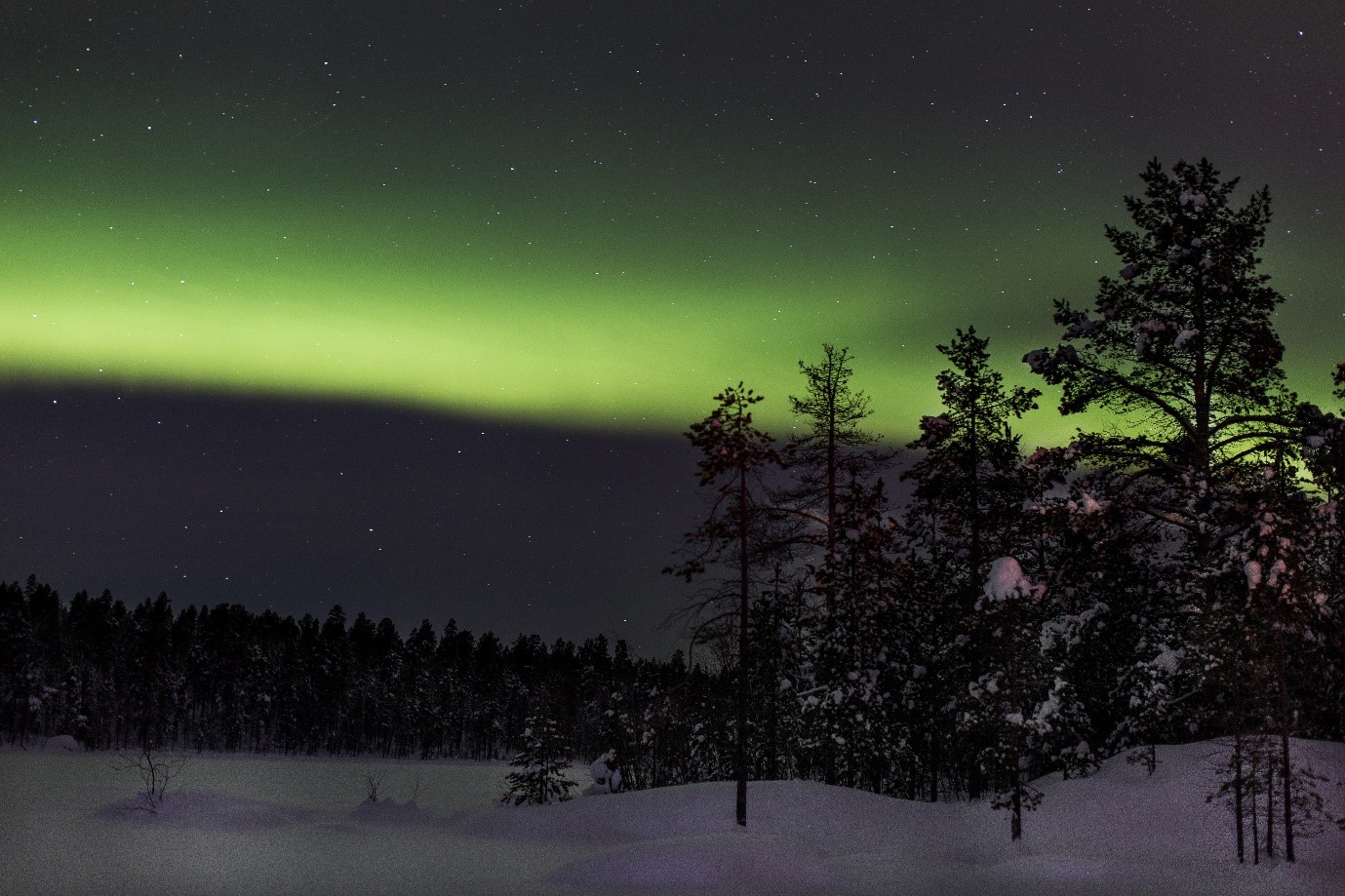 How to Spend a Polar Night in Your Own Backyard