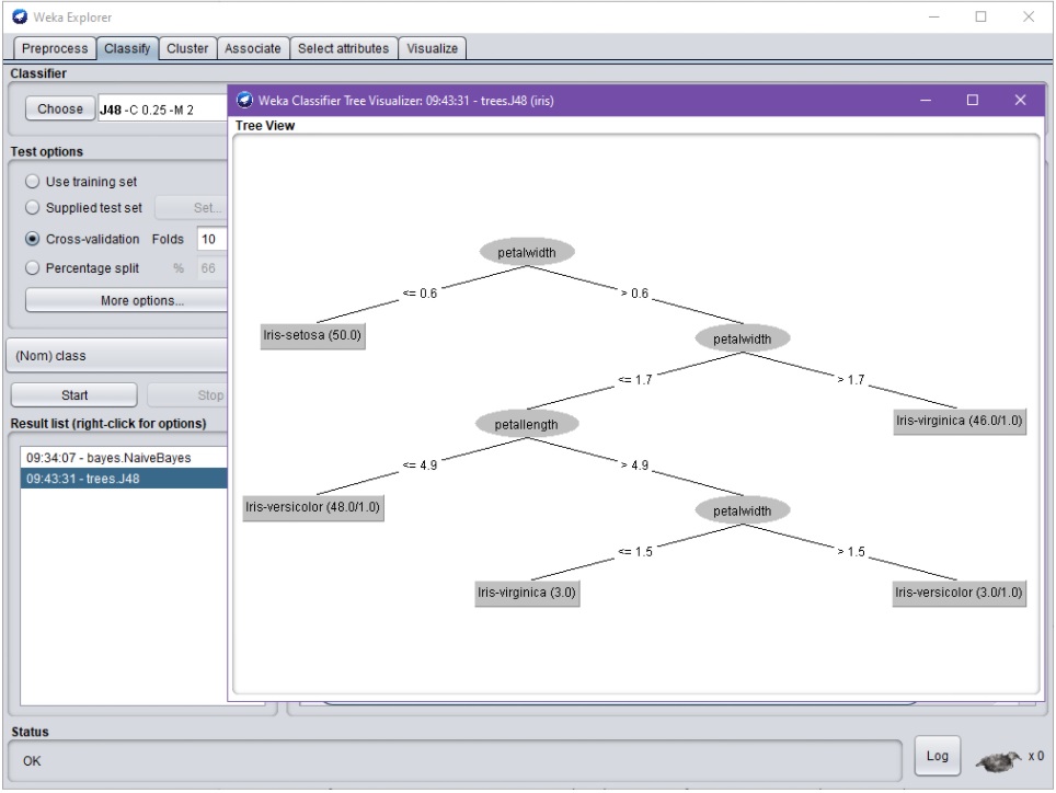 Weka Classifier Tree Visualizer –dialogi. Dialogissa esitetään testiajossa opetettu, yhdeksästä solmusta koostuva päätöspuu graafisessa muodossa siten, että puun juurisolmu on piirretty ylimmäisenä. Tuloksena on nyt saatu binääripuu, jonka juurisolmu sisältää oleellisesti testin "petalwidth<=0.6". Jos testin tulos on tosi, tuottaa puu luokittelutuloksen "Iris-setosa". Jos testi on taasen epätosi, jatketaan puun oikean haaran mukaisilla seuraavilla testeillä, missä seuraavana vuorossa on testi "petalWidth<=1.7". Puu sisältää tietoa myös solmujen "puhtaudesta" [purity].