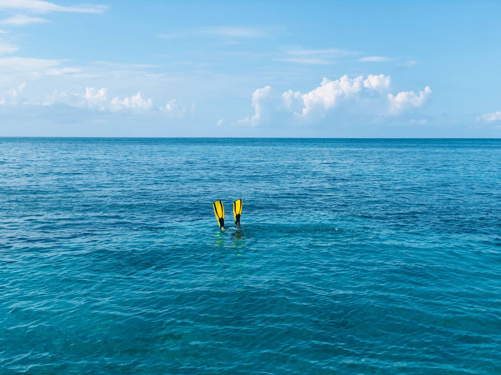 Kuva, jossa on meri ja pinnalla näkyy sulkeltavan ihmisen räpylät.