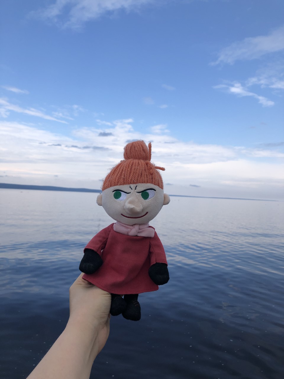 A hand holding a Pikku My toy by the lake.