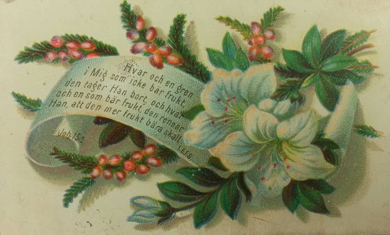 vanha kukka-aiheinen postikortti