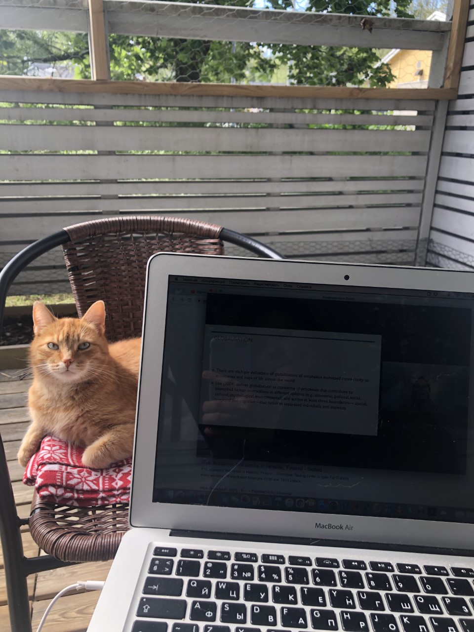 A cat sitting next to a laptop.