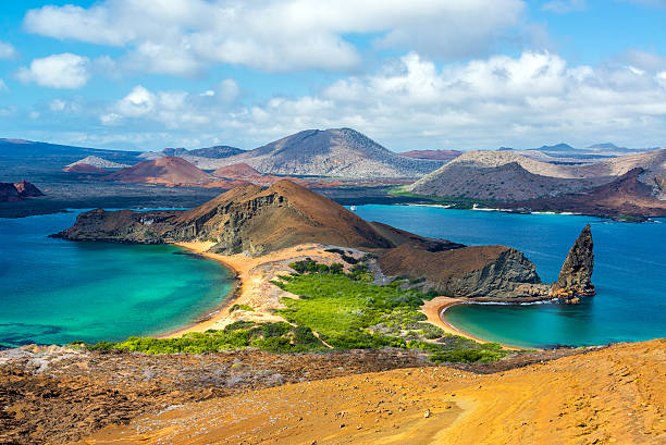 The galapagos islands
