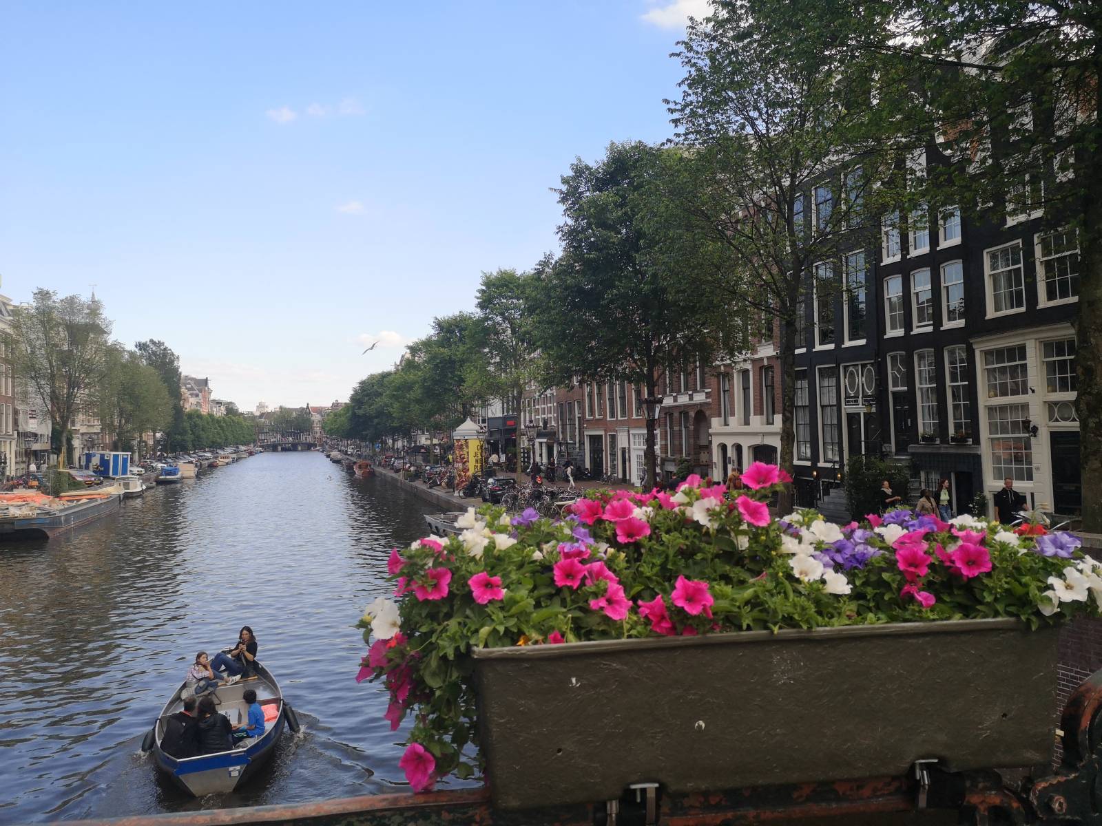 Boat on a river, flowers and houses in Amsterdam.