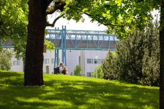 A photo of the university campus in summer with grass in the foreground and people walking in the background