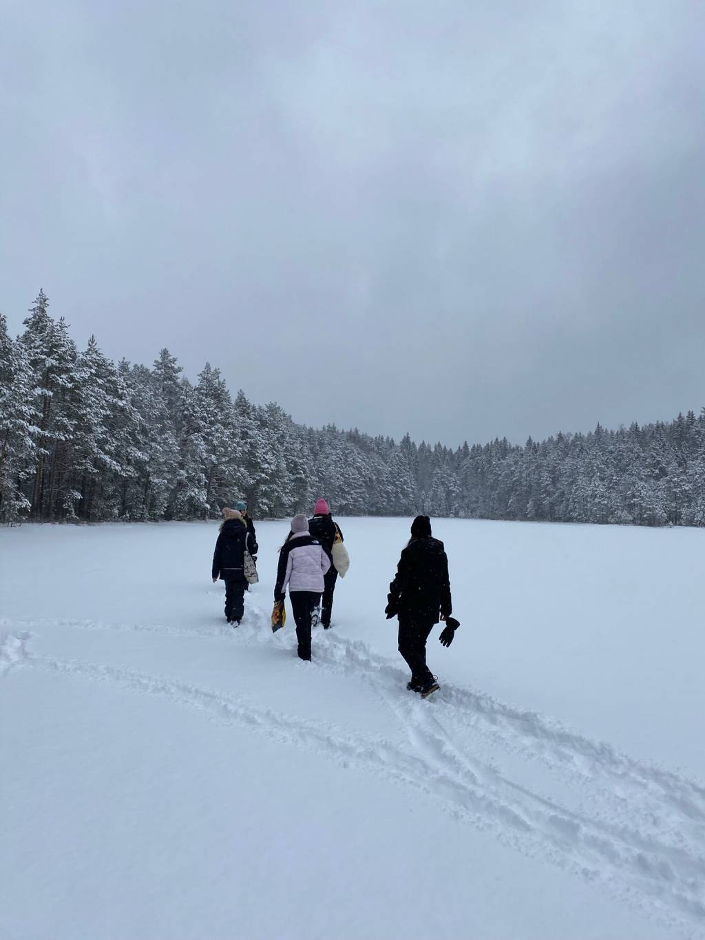 Four people walking on snow.