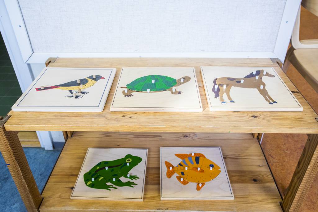 Pictures of bird, turtle, horse, frog and fish on the table.