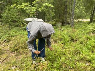 Berry picking in tampere august 2023