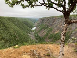 A picture of the Kevo Canyon during summer in Lapland