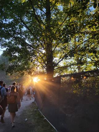 A picture from a summer festival, with sunshine and a green tree.