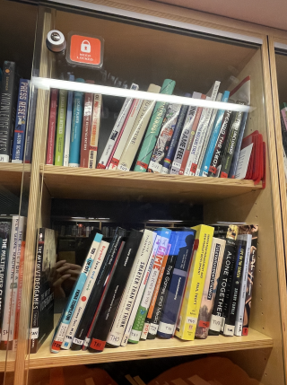 A shelf of Game Studies book collection in OASIS.