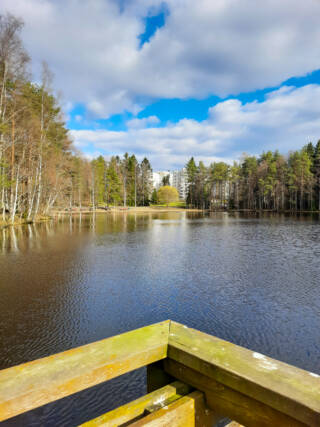 View from a board walk to a lake.