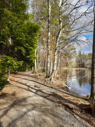 Walking route by a lake and a forest.