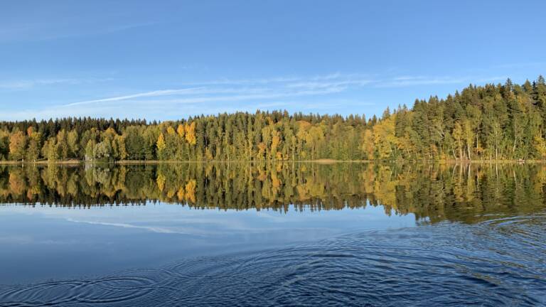 View from lake