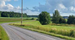 greenery in Finland.